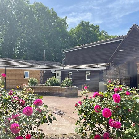 The Rose Cottage Wisborough Green Kültér fotó